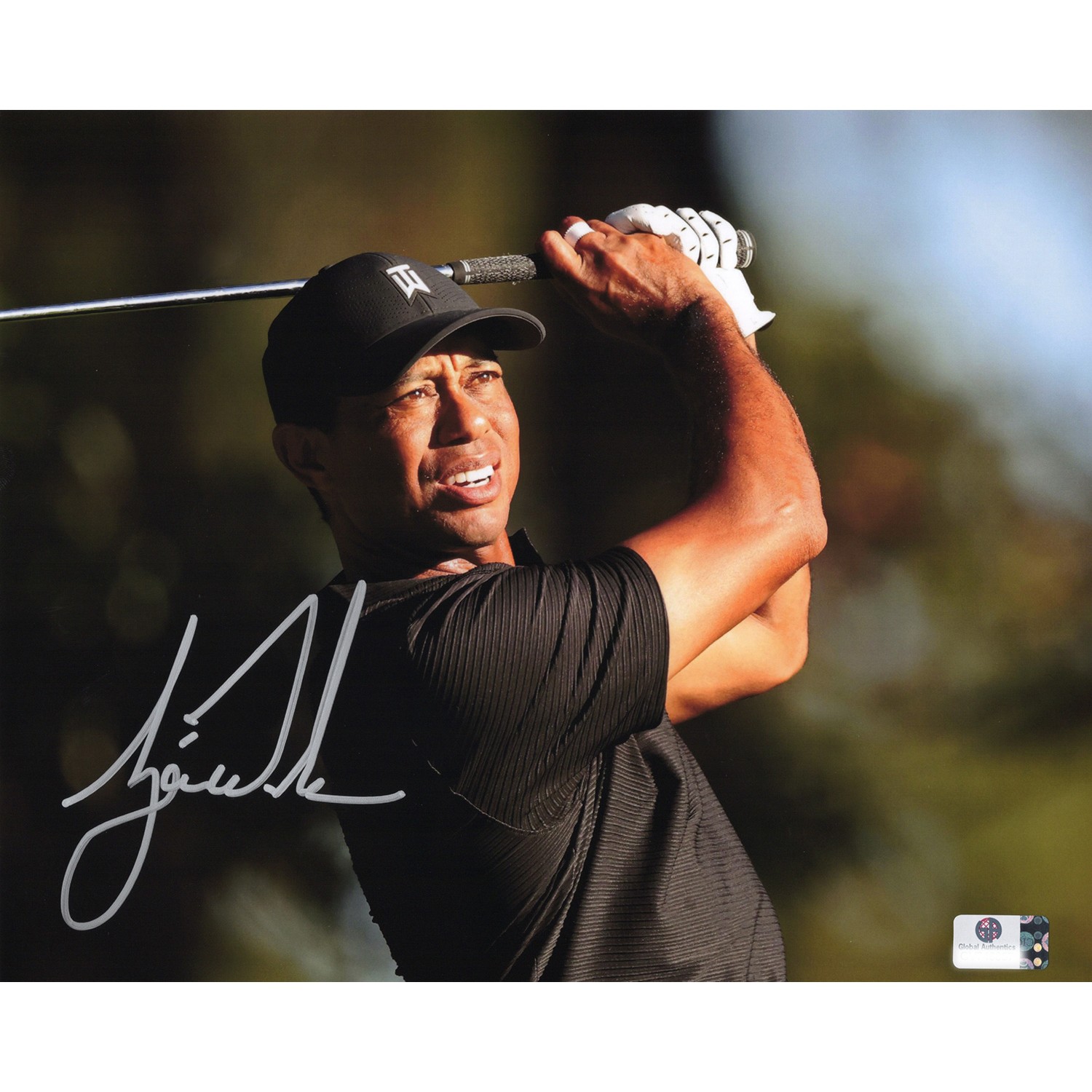 Tiger Woods タイガー・ウッズ 直筆サイン入り写真 Global Authentics認証